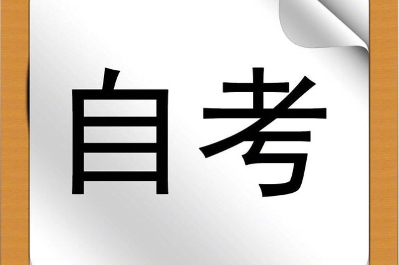 资格证考试用书：一本让你事半功倍的宝典