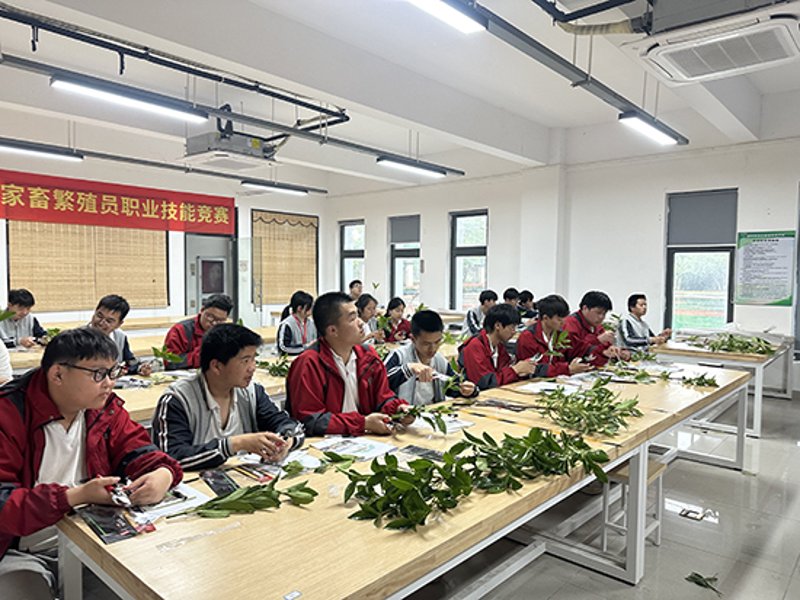 在快速发展的现代社会，越来越多的人意识到职业教育的重要性。作为一家专注于职业技能培训、成人学历提升及职业资格认证的机构——虞人教育，我们致力于为每一位学员提供高质量的学习体验。